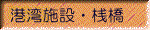 `p{,V